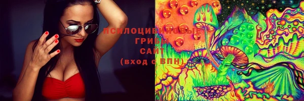 круглые Бородино