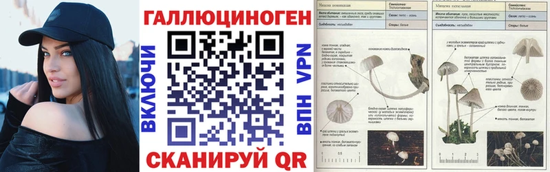 Псилоцибиновые грибы Psilocybe  наркошоп  Альметьевск 